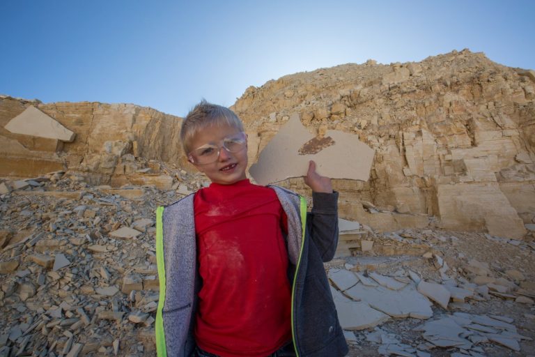 Top 5 Things to Do Near Kemmerer, Wyoming Fossil Basin